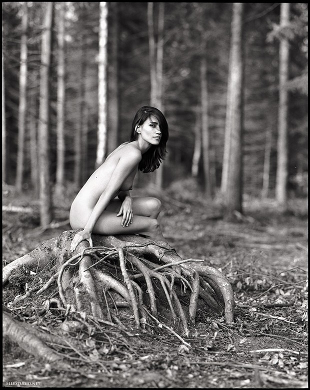 close to the nature Artistic Nude Artwork by Photographer Fabien Queloz