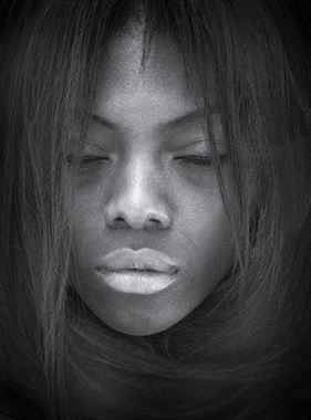 Model Society Galleries