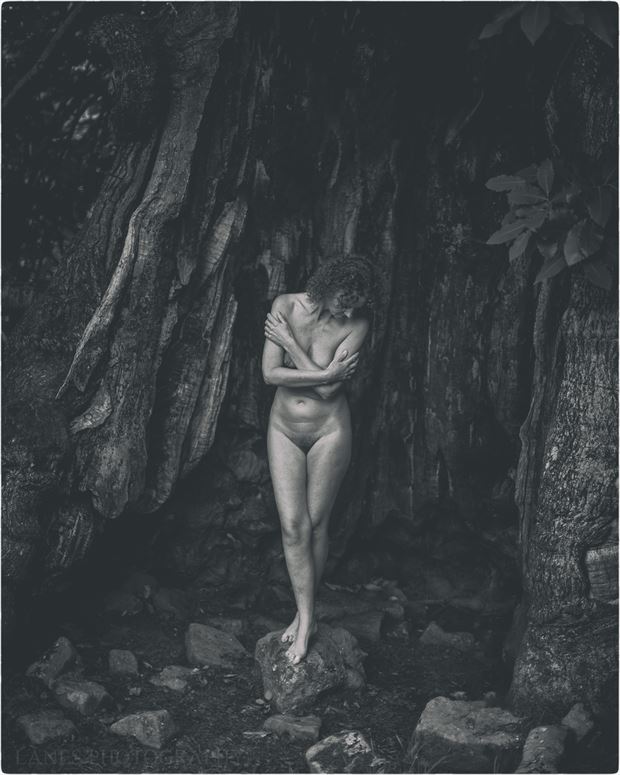 clothe me and embrace me artistic nude photo by photographer lanes photography