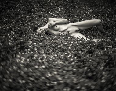 clover field dreams artistic nude photo by photographer dave earl