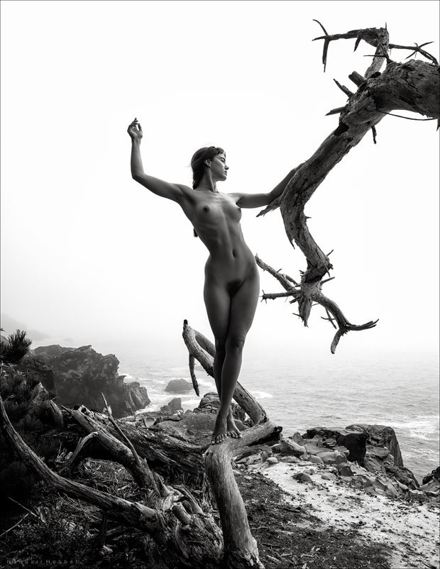 coast watch artistic nude photo by photographer randall hobbet