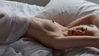 cool sheets artistic nude photo by photographer marinofotography