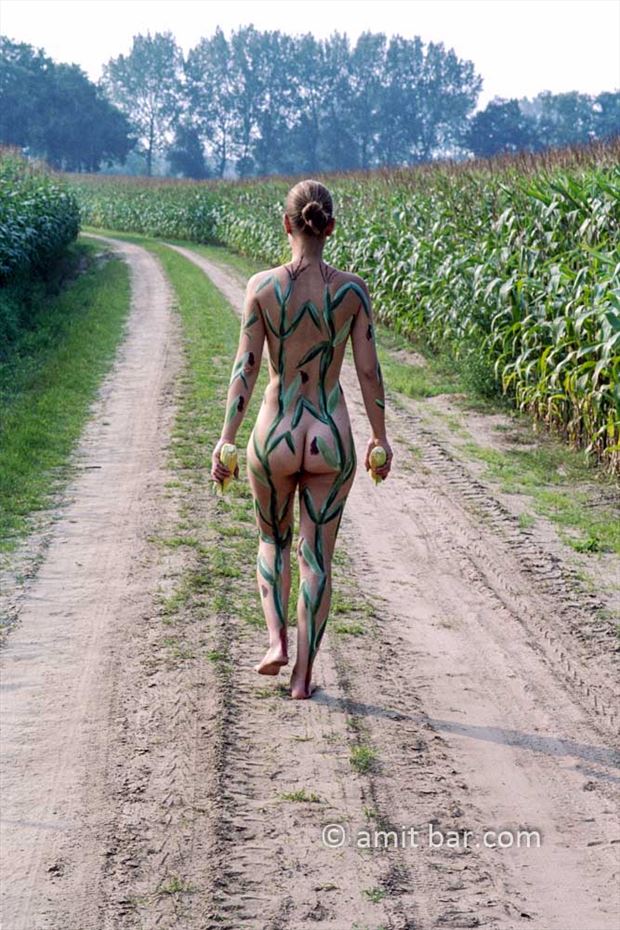 corn fields i nature artwork by photographer bodypainter