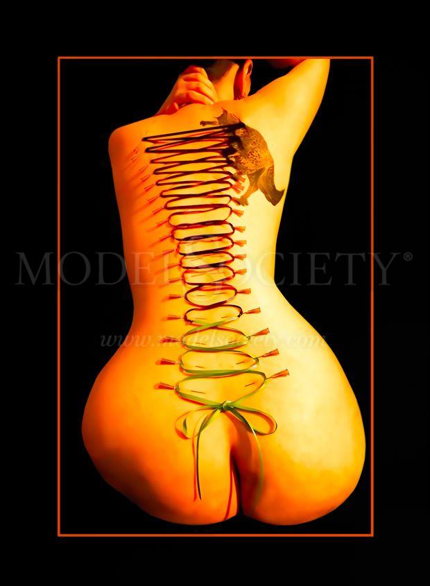 corseted erotic artwork by photographer art4life