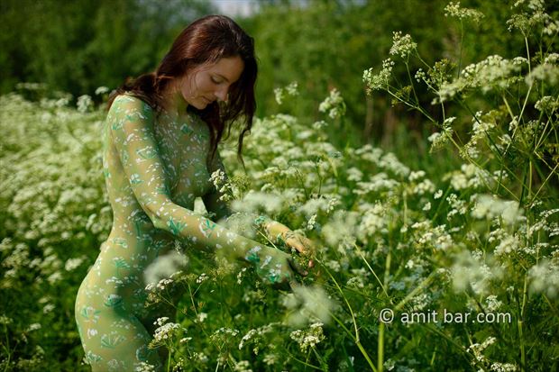 cow parsley i nature artwork by photographer bodypainter