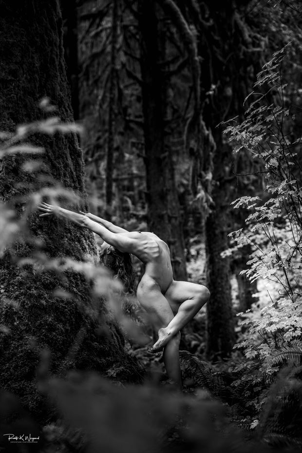 creative nudes in the pacific northwest ii artistic nude photo by photographer ralf wiegand