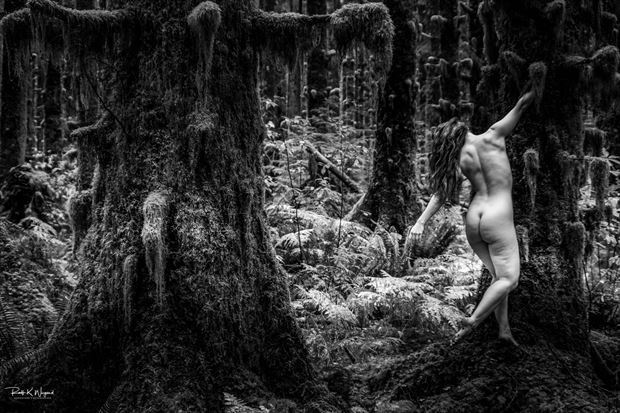creative nudes in the pacific northwest ii artistic nude photo by photographer ralf wiegand