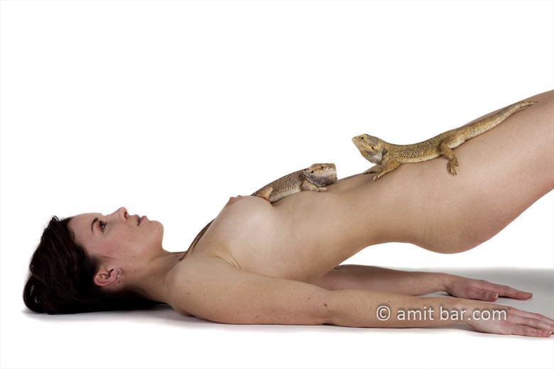 crested gecko i artistic nude photo by photographer bodypainter