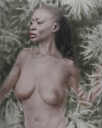 crimson reign artistic nude artwork by photographer daniel p dozer