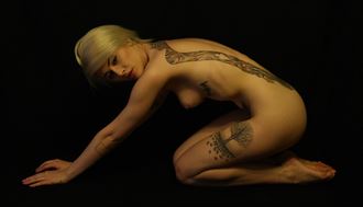 crouching beauty artistic nude photo by photographer comet photos