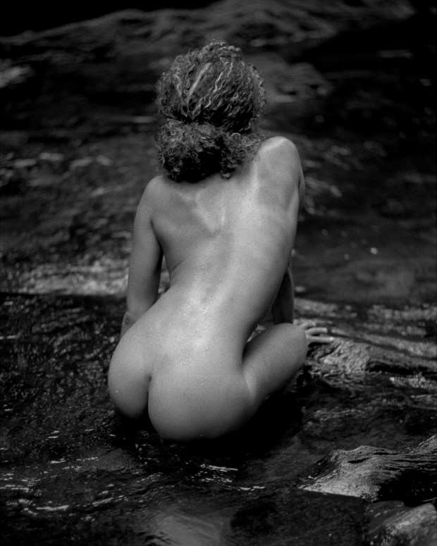 crouching tiger  Artistic Nude Photo by Photographer foxfire 555