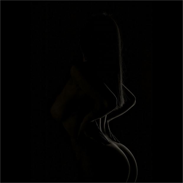 curved artistic nude artwork by photographer dancemovements