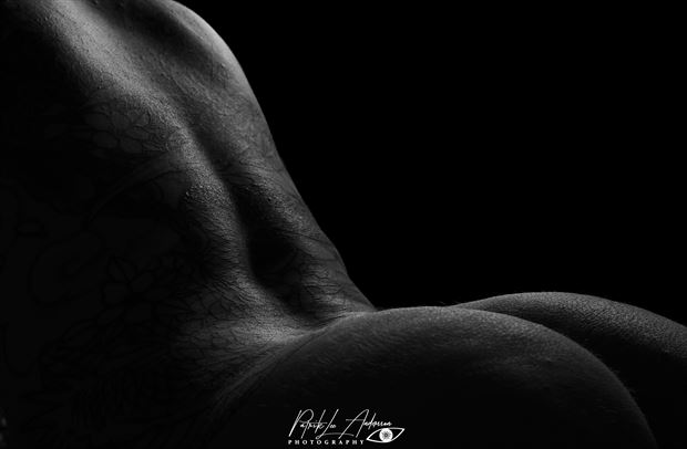 curves artistic nude artwork by photographer patrik andersson