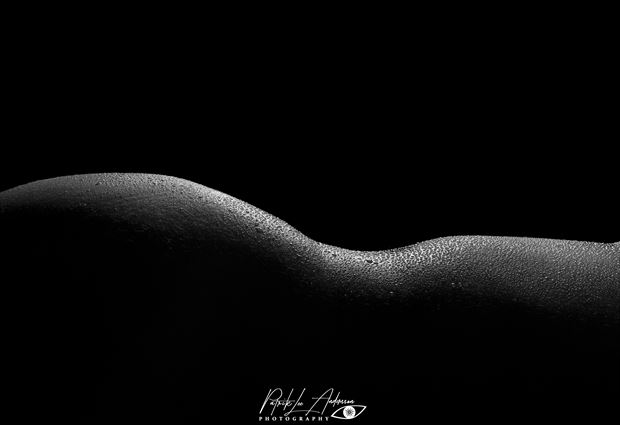 curves i artistic nude artwork by photographer patrik andersson