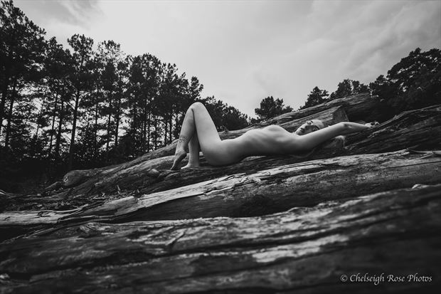 cut down artistic nude photo by model lily reign