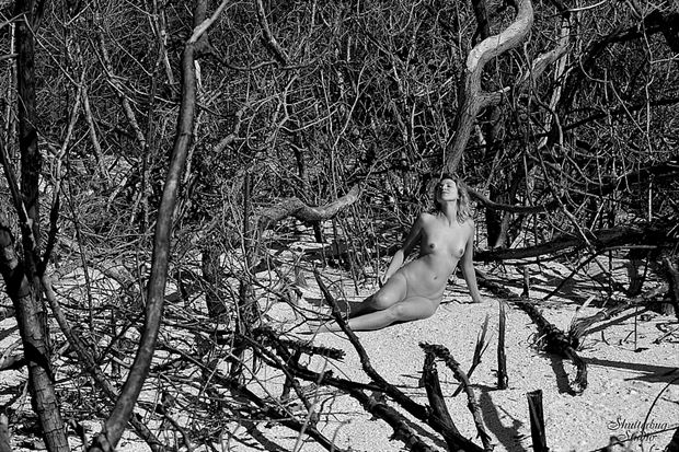 cute epoxide artistic nude photo by photographer shutterbug studio