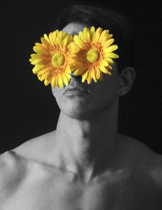 daisies surreal photo by photographer ebutterfieldphotog