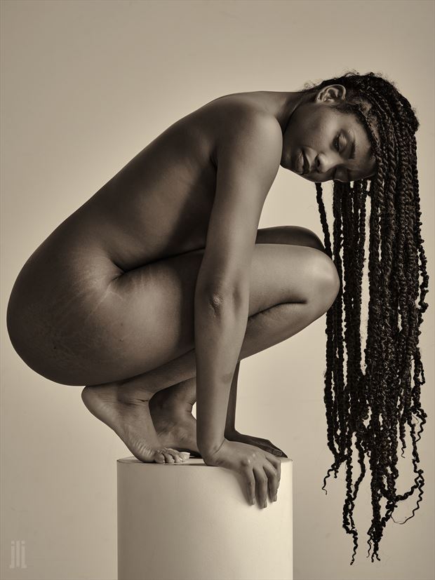 dakota s hair artistic nude photo by photographer james landon johnson