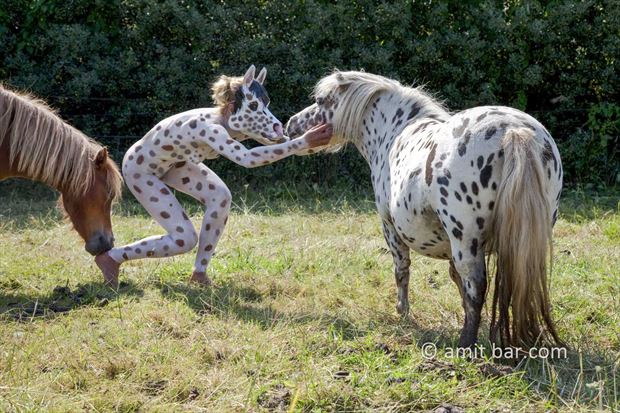 dalmatioan pony i nature artwork by photographer bodypainter
