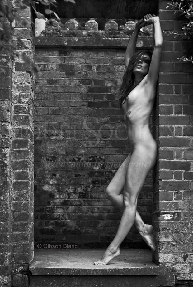 dancing with the light Artistic Nude Photo by Photographer Gibson