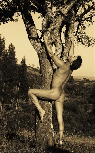 dancing with trees Artistic Nude Photo by Model skycladarts