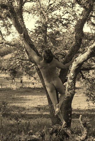 dancing with trees too Artistic Nude Photo by Model skycladarts