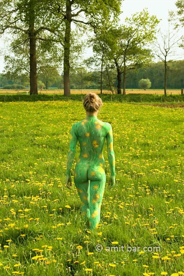 dandelions i nature artwork by photographer bodypainter