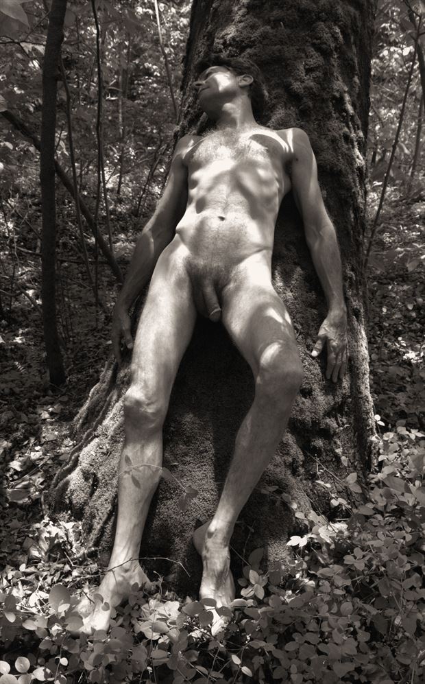 Dappled Nude Artistic Nude Photo By Photographer J Wayne Higgs At