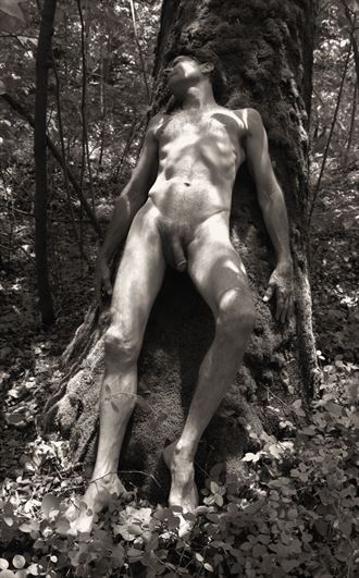 dappled nude artistic nude photo by photographer j wayne higgs