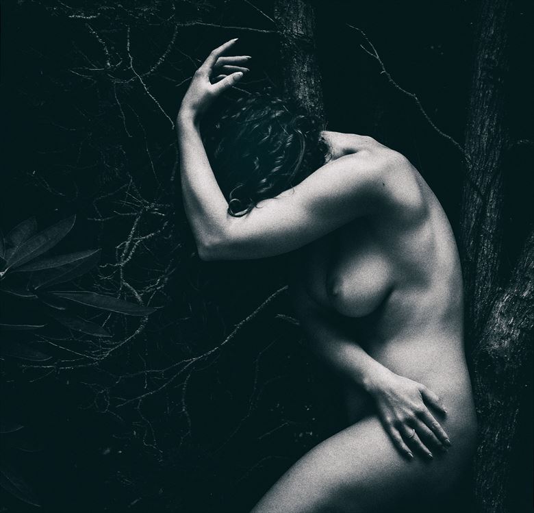dark forest artistic nude photo by photographer shawn crowley