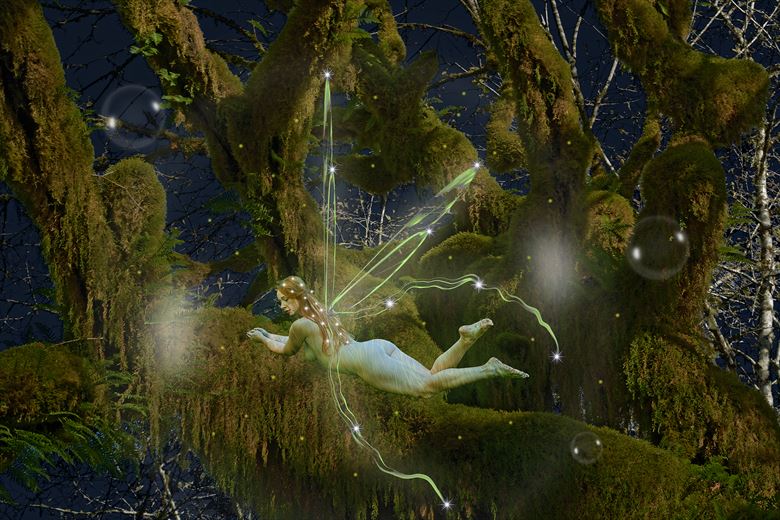 dark forest fairy vi artistic nude photo by photographer rare earth gallery