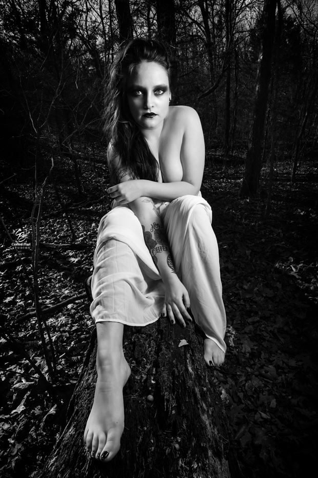 dark forest siren sits artistic nude photo by photographer craftedpixelstudios