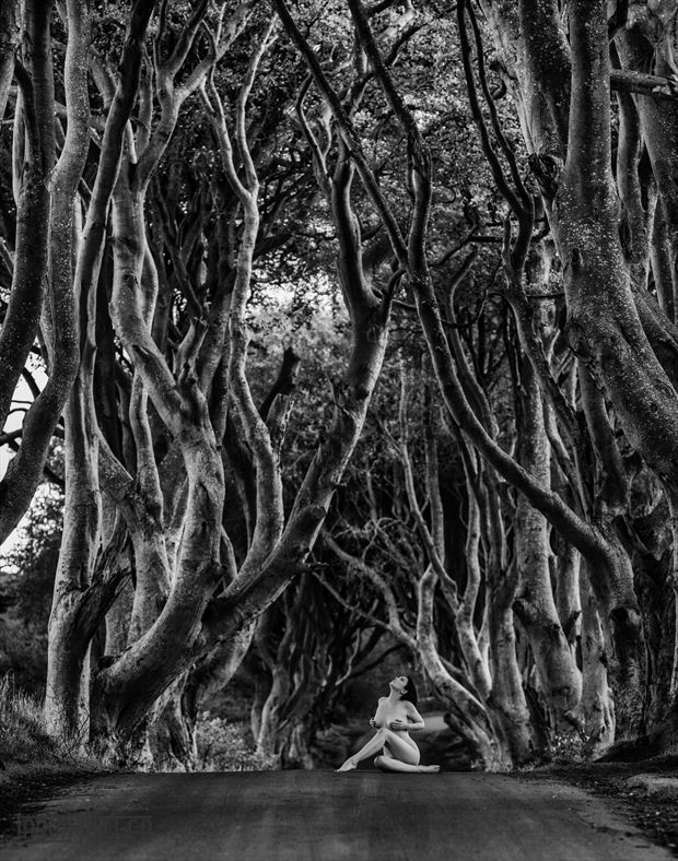 dark hedges artistic nude photo by photographer jasonmiller