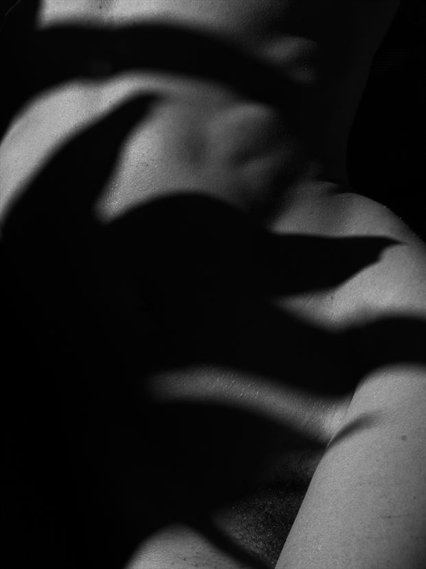 dark leafy shadows artistic nude photo by photographer artphotovision