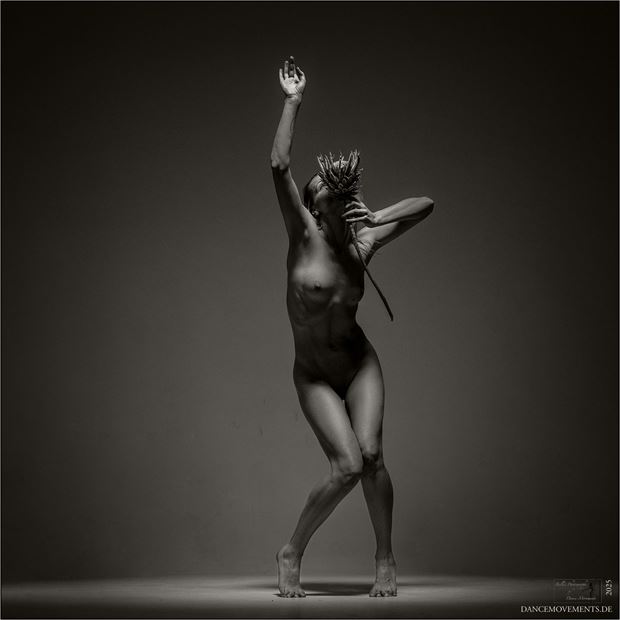 das maedchen und die distel artistic nude artwork by photographer dancemovements