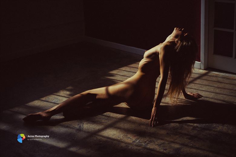 dasha artistic nude photo by photographer acros photography