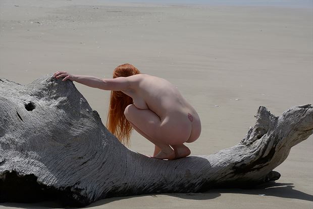 day at the beach 12 artistic nude photo by photographer rare earth gallery