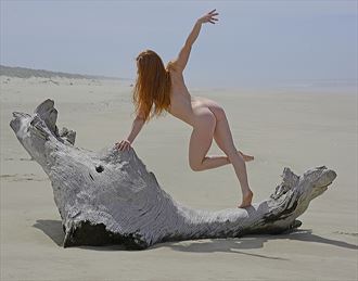 day at the beach 14 artistic nude photo by photographer rare earth gallery