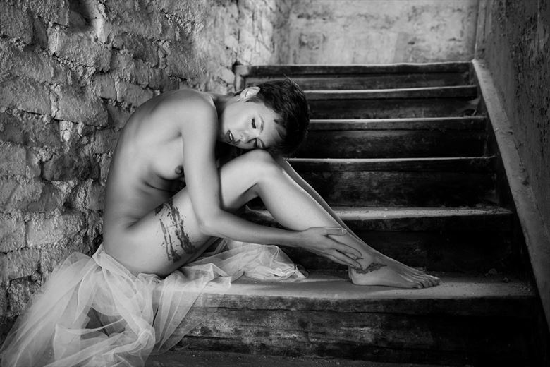 daydreamer artistic nude artwork by photographer zoltan k 