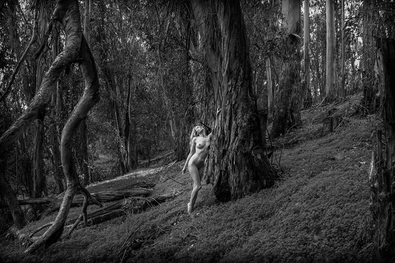 deep in the forest artistic nude photo by photographer danwarnerphotography