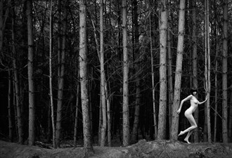 delamere forest Artistic Nude Photo by Photographer nigel kent