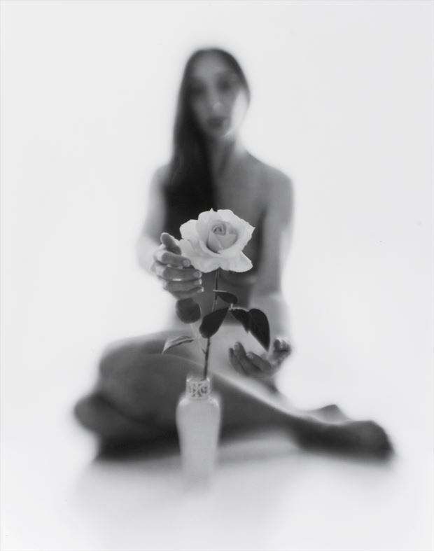 delicate rose artistic nude photo by photographer daniel p dozer