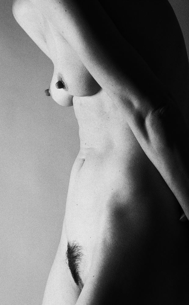 denisa nude figure study 1 artistic nude photo by photographer paulo