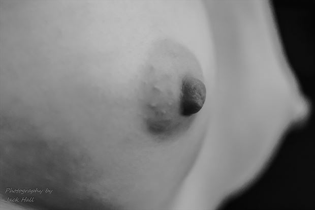 depth of field study of form artistic nude photo by photographer jack hall