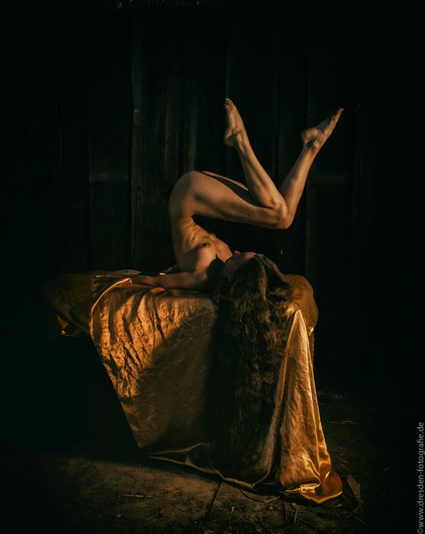 der goldene schritt artistic nude photo by photographer s dittrich