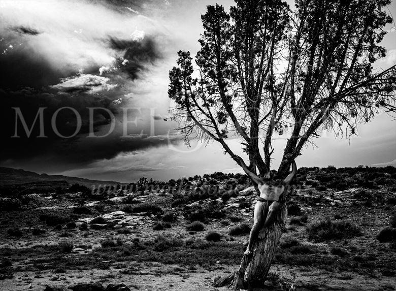 desert of the soul artistic nude photo by photographer bad buddha