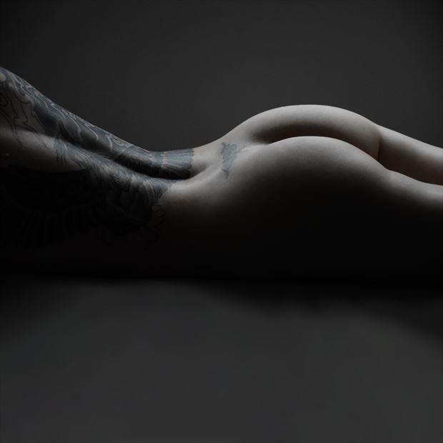 designs of lines artistic nude photo by photographer tj