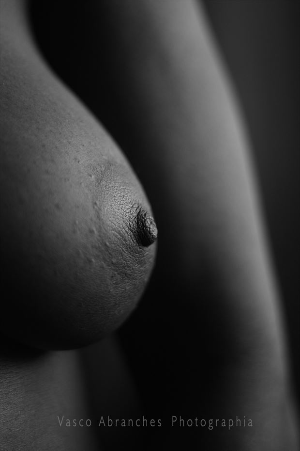 detalhe ii 2020 erotic photo by photographer vasco abranches