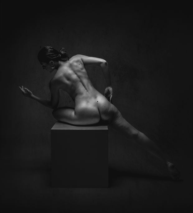 dimples of venus artistic nude artwork by photographer paul archer