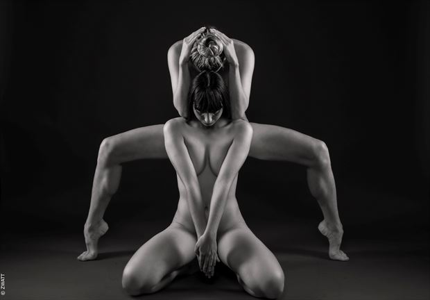 disclosed symmetries artistic nude artwork by photographer zwatt